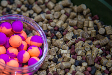 Bait for fishing for carp
