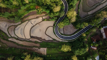 aerial view of asphalt road winding between forests and beautiful green rice fields.