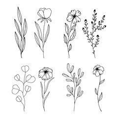 Hand Drawn Black And White Spring Flowers On White Background. Sketch. Doodle style	
