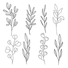 Hand Drawn Black And White Spring Flowers On White Background. Sketch. Doodle style	