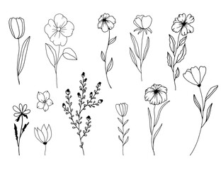 Hand Drawn Black And White Spring Flowers On White Background. Sketch. Doodle style	