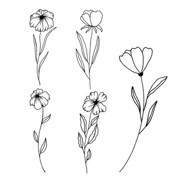 Hand Drawn Black And White Spring Flowers On White Background. Sketch. Doodle style	