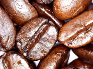 Detail of fresh coffee beans from a coffee plant