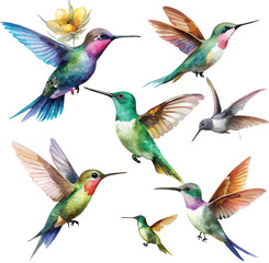 Naklejka premium Set of hummingbirds