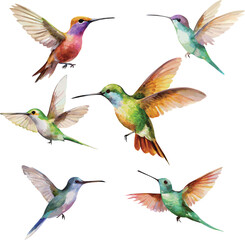 Naklejka premium Set of hummingbirds