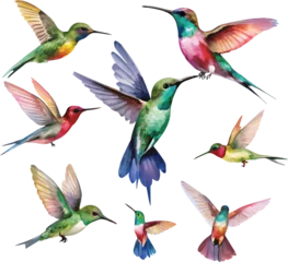 Fotobehang Kolibrie Set of hummingbirds