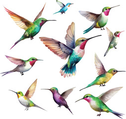 Set of hummingbirds