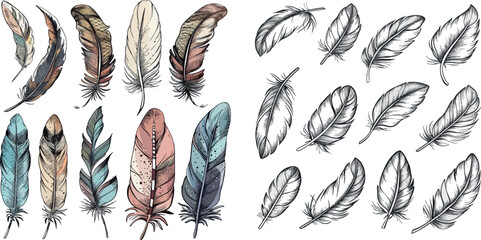 Tribal line art vector illustration set of feather bird ethnic vintage - obrazy, fototapety, plakaty