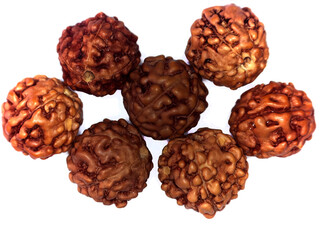 Rudraksha seeds five mukhi original