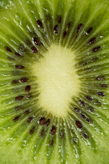 texture of kiwi. Texture and Abstract concept