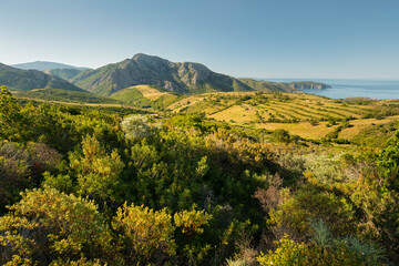 Landschaft bei D'Arone, Korsika, Frankreich