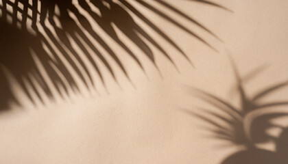Beige Background with Sunlight and Shadow of Coconut and Tropical Leaves