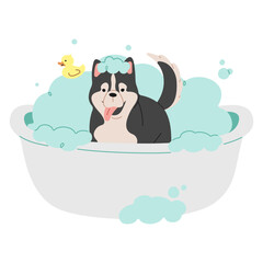 Pet Grooming Single 3 cute on a white background, vector illustration.