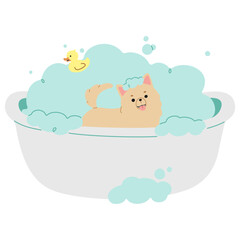 Pet Grooming Single 8 cute on a white background, vector illustration.
