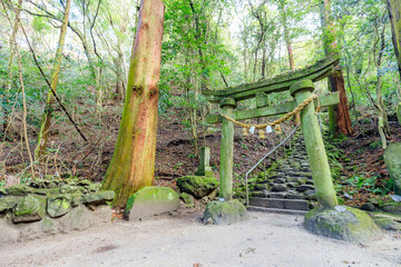 冬の熊野権現熊野神社　鳥居　大分県豊後高田市　Kumano Gongen Kumano Shrine in winter. Torii. Oita Prefecture, Bungotakada City.