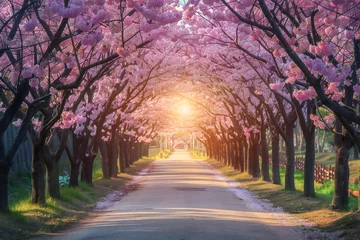 Papier Peint photo autocollant Lavende Sakura trees tunnel in early spring with sunset Generative Ai 