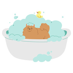 Pet Grooming Single 6 cute on a white background, png illustration.