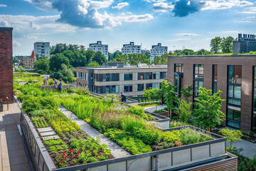 A lush urban oasis thrives on a rooftop, providing a green escape within the dense residential architecture of a city neighborhood - 757069936