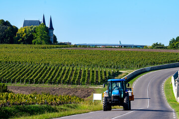 View on green vineyards, wine domain or chateau in Haut-Medoc red wine making region, Bordeaux,...