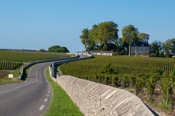 View on green vineyards, wine domain or chateau in Haut-Medoc red wine making region, Bordeaux,...