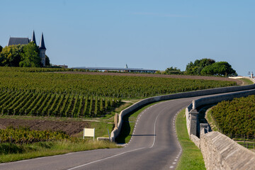 View on green vineyards, wine domain or chateau in Haut-Medoc red wine making region, Bordeaux,...