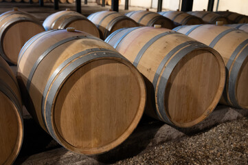 WIne celler with french oak barrels for aging of red wine made from Cabernet Sauvignon grape variety, Haut-Medoc vineyards in Bordeaux, left bank Gironde Estuary, Pauillac, France