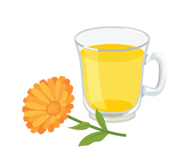 Calendula tea in glass cup and flower. Vector cartoon flat illustration of herbal drink.