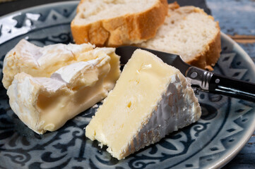 French soft Camembert cheese, original Camembert de Normandie, close up with white mold