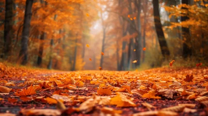 Foto auf Acrylglas Straße im Wald Golden autumn leaves carpeting a serene forest pathway