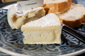 French soft Camembert cheese, original Camembert de Normandie, close up with white mold