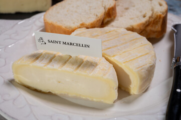 French cheeses collection, Saint-Marcellin cow's milk cheese with white mold from Rhône-Alpes region of France