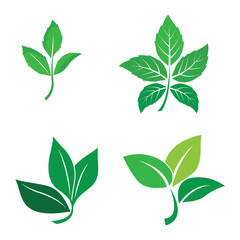 leaf logo vector