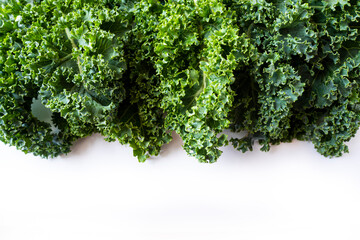 Kale leaves on a white background. Background of kale leaves. Fresh kale leaves background. Texture...