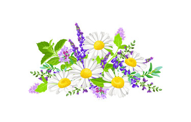Bouquet of wild flowers and herbs. Vector cartoon illustration of beautiful flower arrangement.