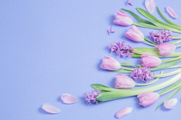 Fototapeta na wymiar spring flowers on blue paper background