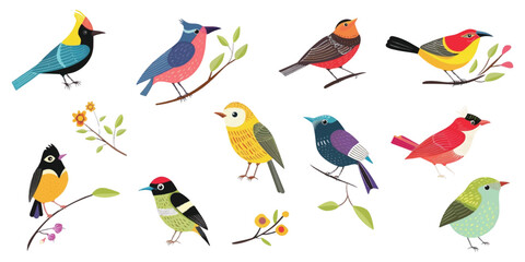 Illustration of a beautiful cute bird on a white background.