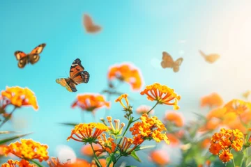  Bright colorful summer spring flower border. Natural landscape with many orange lantana flowers and fluttering butterflies Lycaena phlaeas against blue sky on sunny day. © Straxer