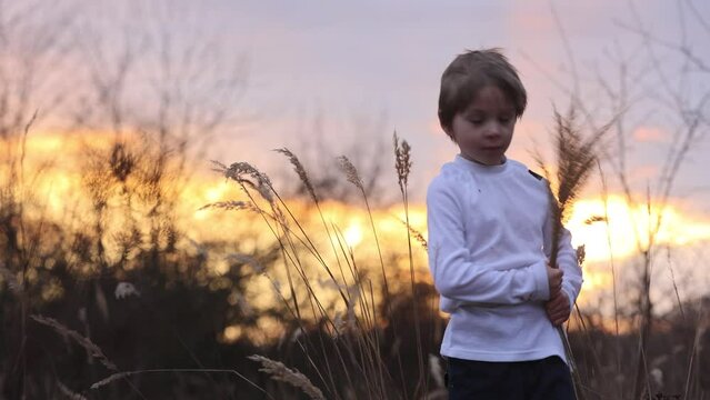 Adorable little child, boy, holding fild flowers in park on autumn day, sunset, tourism with backpack