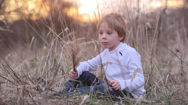 Adorable little child, boy, holding fild flowers in park on autumn day, sunset, tourism with backpack