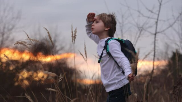 Adorable little child, boy, holding fild flowers in park on autumn day, sunset, tourism with backpack