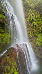Obraz premium Levada und Wasserfall bei Caldeirao Verde, Queimados, Madeira, Portugal