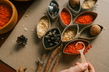 Montessori and Sensory Development, A child sorts cereals by color