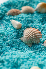 Obraz na płótnie Canvas Seashells close-up on colored rice, background