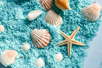 Seashells close-up on colored rice, background