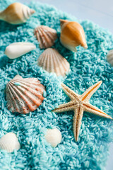 Fototapeta na wymiar Seashells close-up on colored rice, background