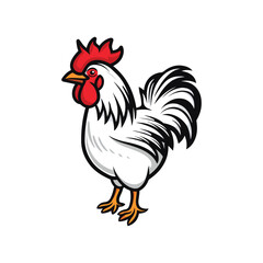 rooster isolated on white background