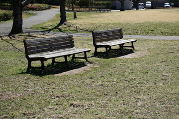 冬の公園のベンチ
