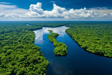 Aerial view of a river in a rainforest