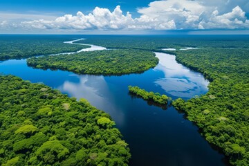 Fototapeta na wymiar Aerial view of a river in a rainforest