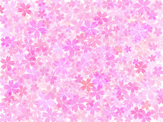 桜満開の背景素材